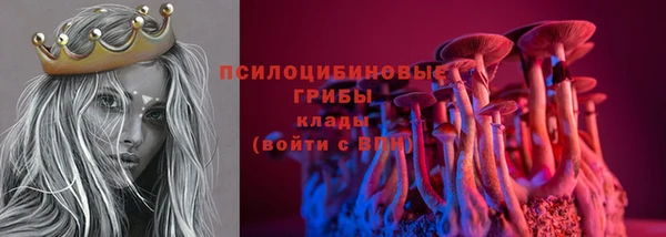 сатива Алзамай