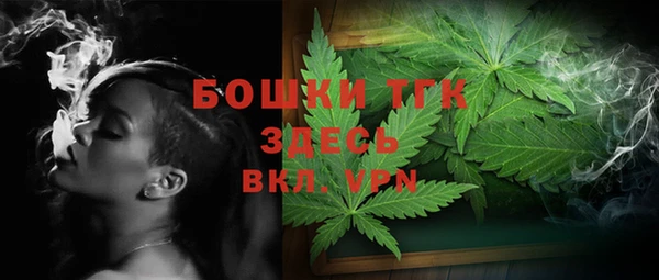 сатива Алзамай