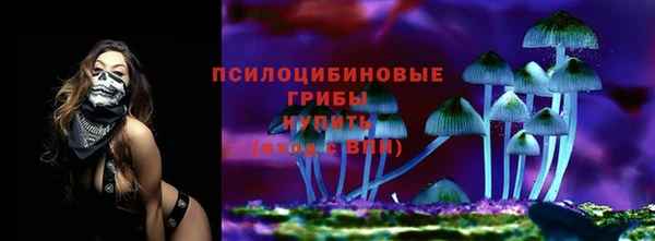 спиды Алексеевка